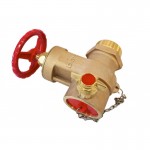 Gate/Landing Valve Screwed 2.5” BSPT Male